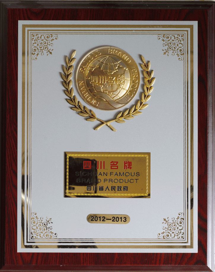 2012-2013四川名牌